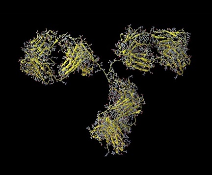New Malvern Data Demonstrate Monoclonal Antibody Characterisation Using the Viscotek SEC-MALS 20