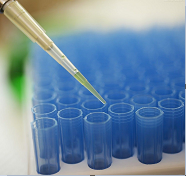 New monoclonal antibody developed that can target proteins inside cancer cells
