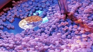 P-MEC India 2011 to Take Place in Mumbai Nov. 30- Dec. 2
