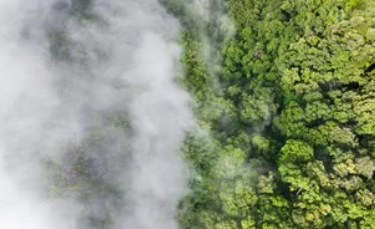 Pharmaceutical industry accelerates supply chain heat decarbonisation as Sanofi, UCB and Opella join AstraZeneca on Secaro and ERM’s Clean Heat Program