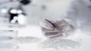 Pharmacon III 2011 with Focus on Pharma Research Trends to be Held October