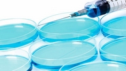 Positive Data Achieved in Phase 1 Clinical Trial of Reformulated Z160