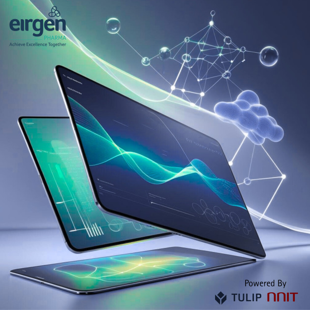 Project Elevate: Transforming Eirgen Pharma's Digital Landscape