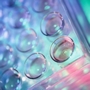 Provesica Publishes XEN-D0501 Phase 1 Data