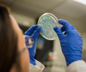 Recipharm receives approval for the manufacture of a new microbiome-based therapeutic