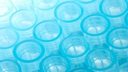 Research Agreement to Develop New Drugs against Diarrhea