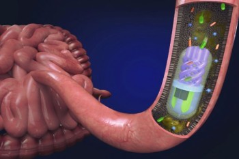 Researchers develop 3D printed ingestible pill