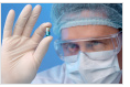 Researchers uncover potential alternative to statins