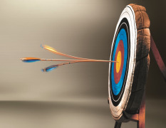RESOMER® Precise