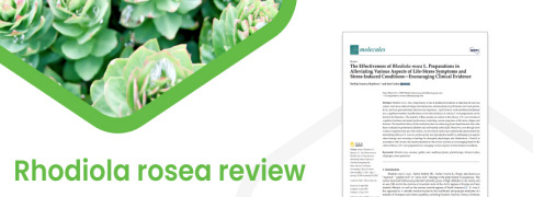 Rhodiola rosea review