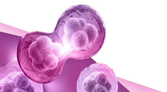Rising Prevalence of Cancer and Its Impact on the HP API Market