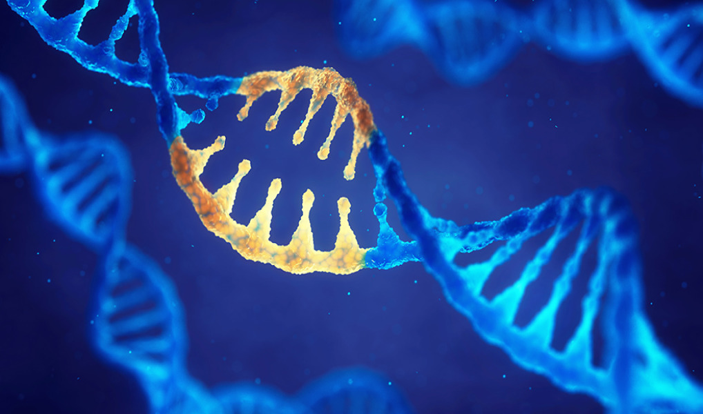 Sartorius and RoosterBio partner to advance scale-up of hMSC manufacturing