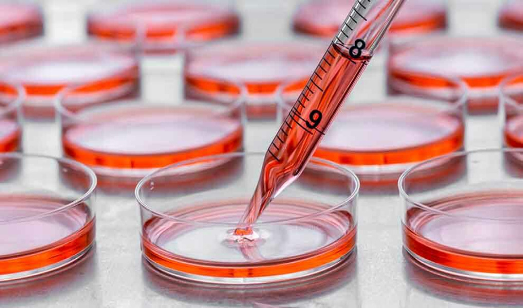 Sartorius extends its cell culture media business via acquisition