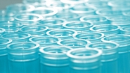 Senesco Contracts Criterium for Multiple Myeloma Study