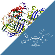 Solvias joins forces with Enzymicals in chemocatalysis and biocatalysis