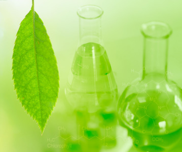 Sourcing Responsibly – putting ESG principles into practice: Connect to Frankfurt on-demand