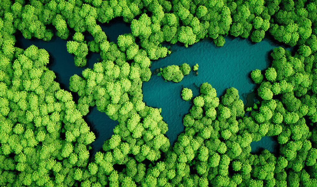 Sustainability drive also worth the investment for smaller pharma firms