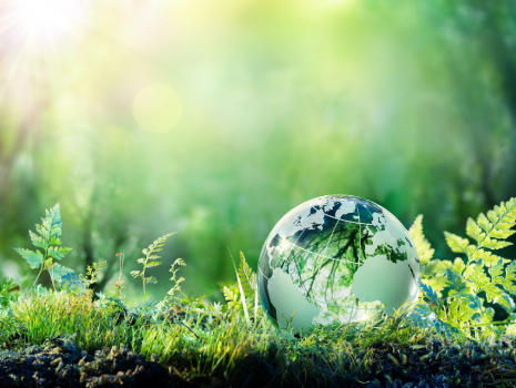 Sustainability Report 2025: A Sneak Peek