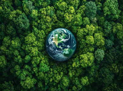 Symbiosis Earns Recognition from EcoVadis for Commitment to Sustainability