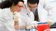 The 15th Annual Society for Neuro-Oncology (SNO) Scientific Meeting