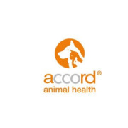 The last 12 months have been very busy at Accord Animal Health.