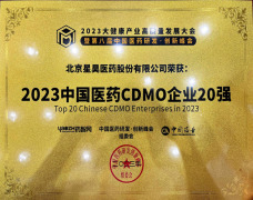 Top 20 Chinese CDMO Enterprises in 2023