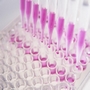 Virus JX-594 Found to Target Cancer Cells