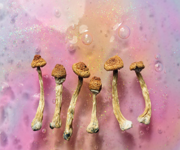 World's largest psychedelic drug trial approved by Health Canada