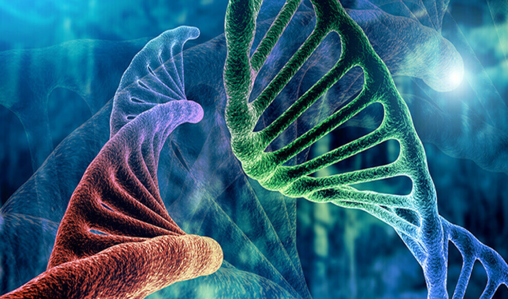 WuXi AppTec completes $135 million acquisition of Oxgene