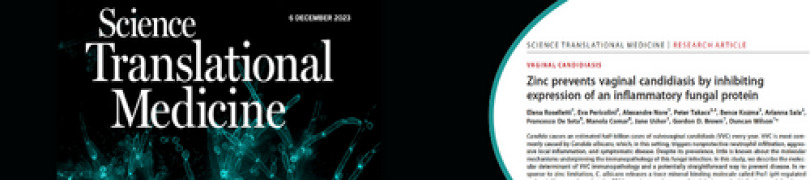 Zinc containing vaginal gel shows promise as surprising emerging treatment for vaginal yeast infections.