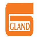 Gland Pharma Limited