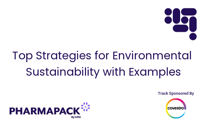 Top Strategies for Environmental Sustainability with Examples
