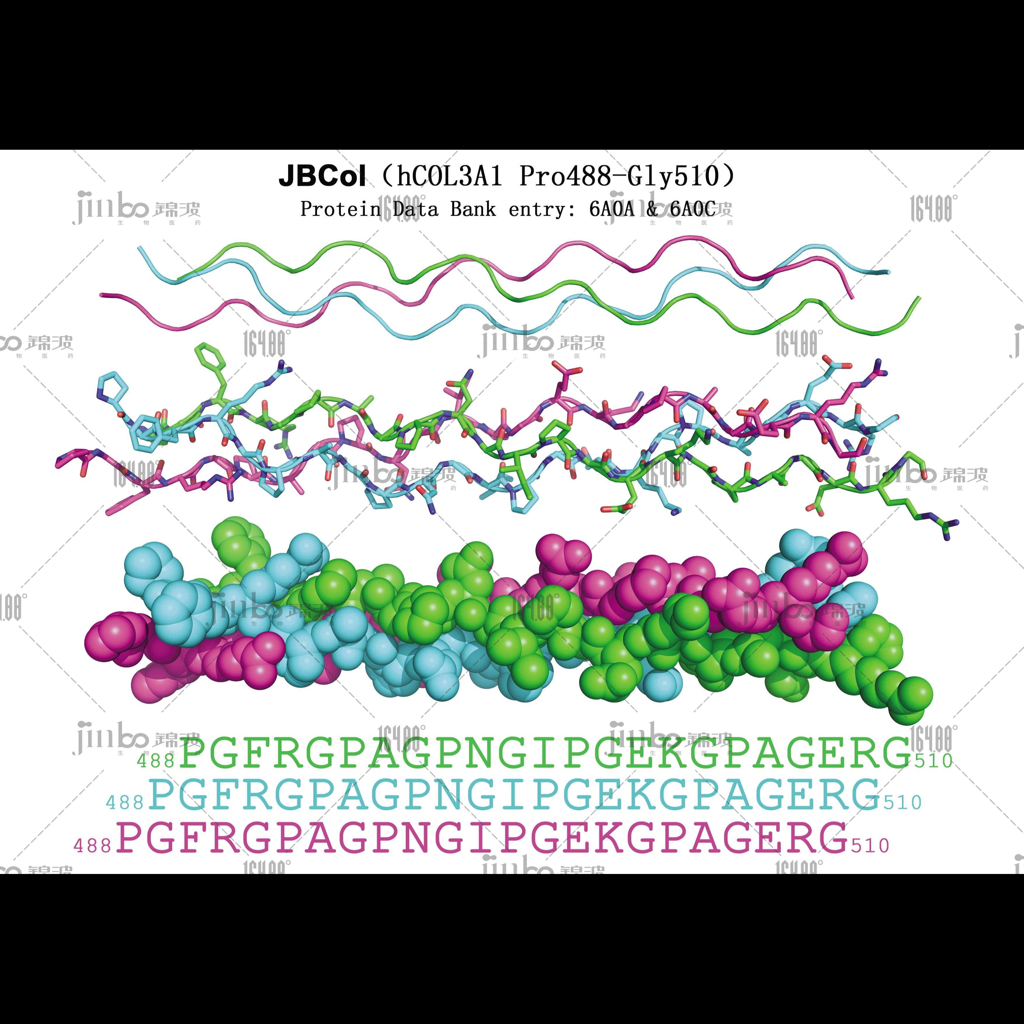 164.88° Recombinant type Ⅲ humanized collagen lyophilized powder 2