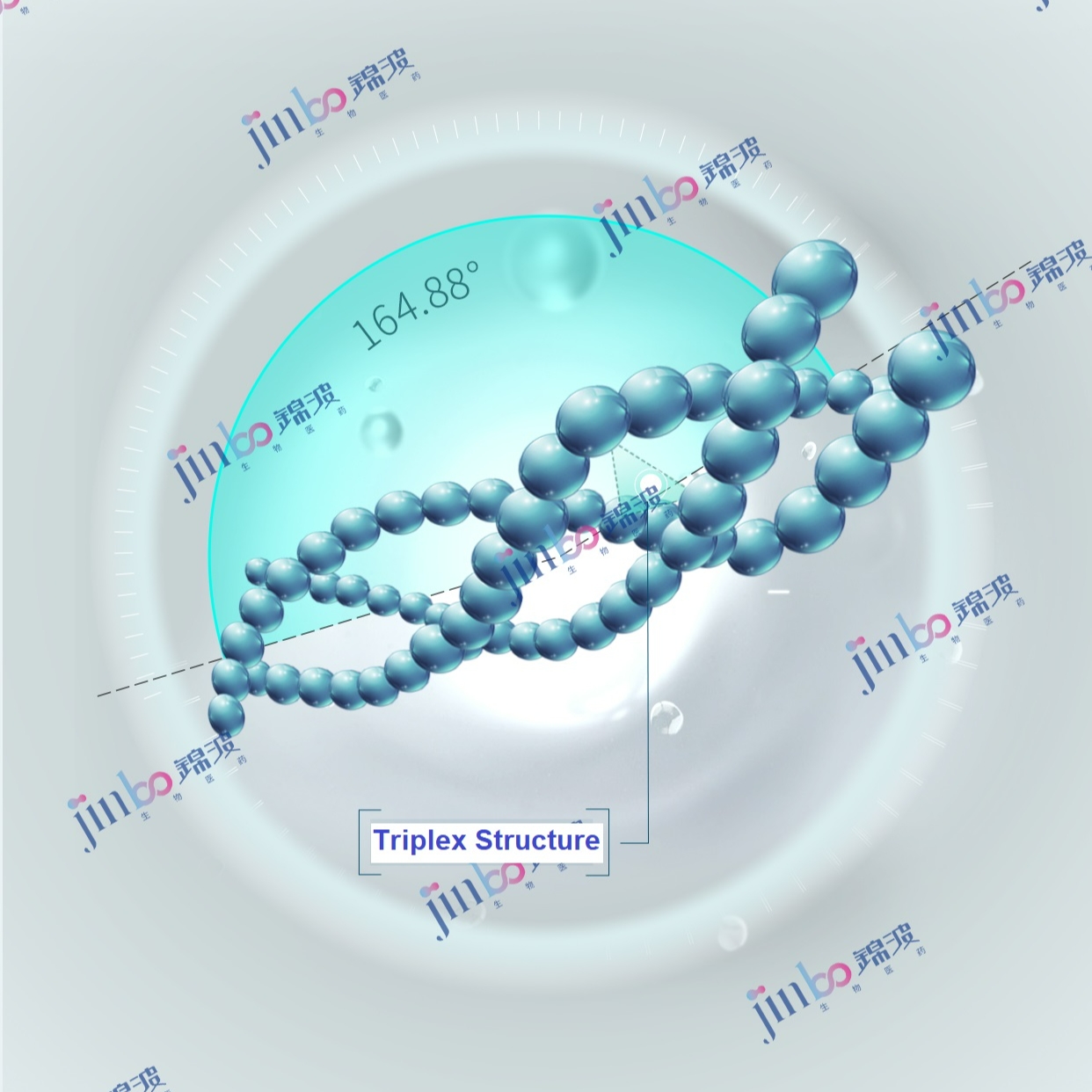 164.88° Recombinant type Ⅲ humanized collagen lyophilized powder 3