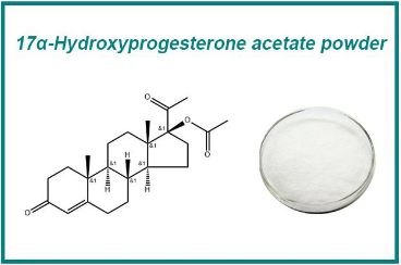 17a-Hydroxyprogesterone