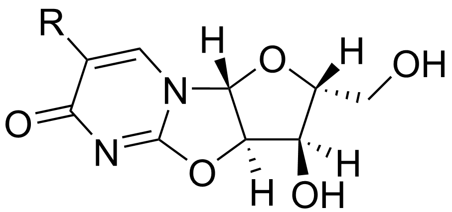 2,2'-Cyclouridine