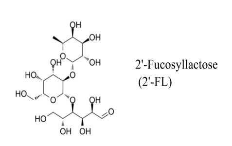 2-Fucosyllactose (2-FL)