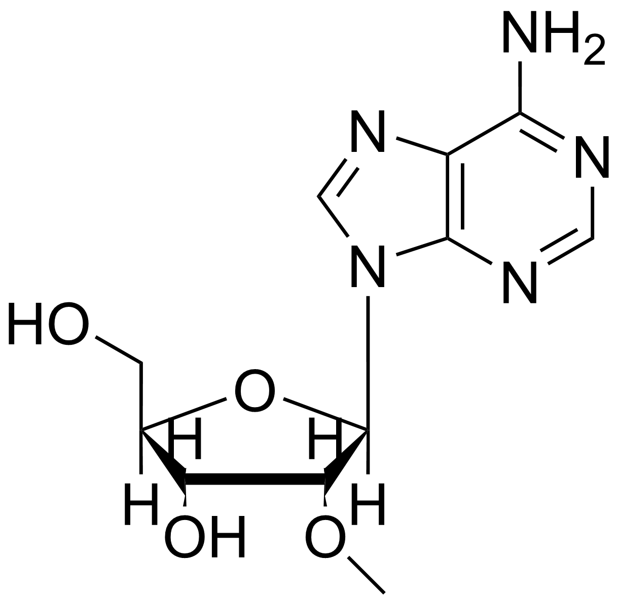 2'-O-Methyladenosine