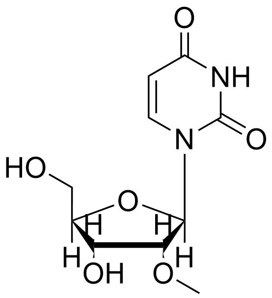 2'-O-Methyluridine