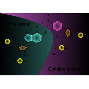 3-(Cyclohexylamino)propane sulfonic acid [CAPS] intermediates