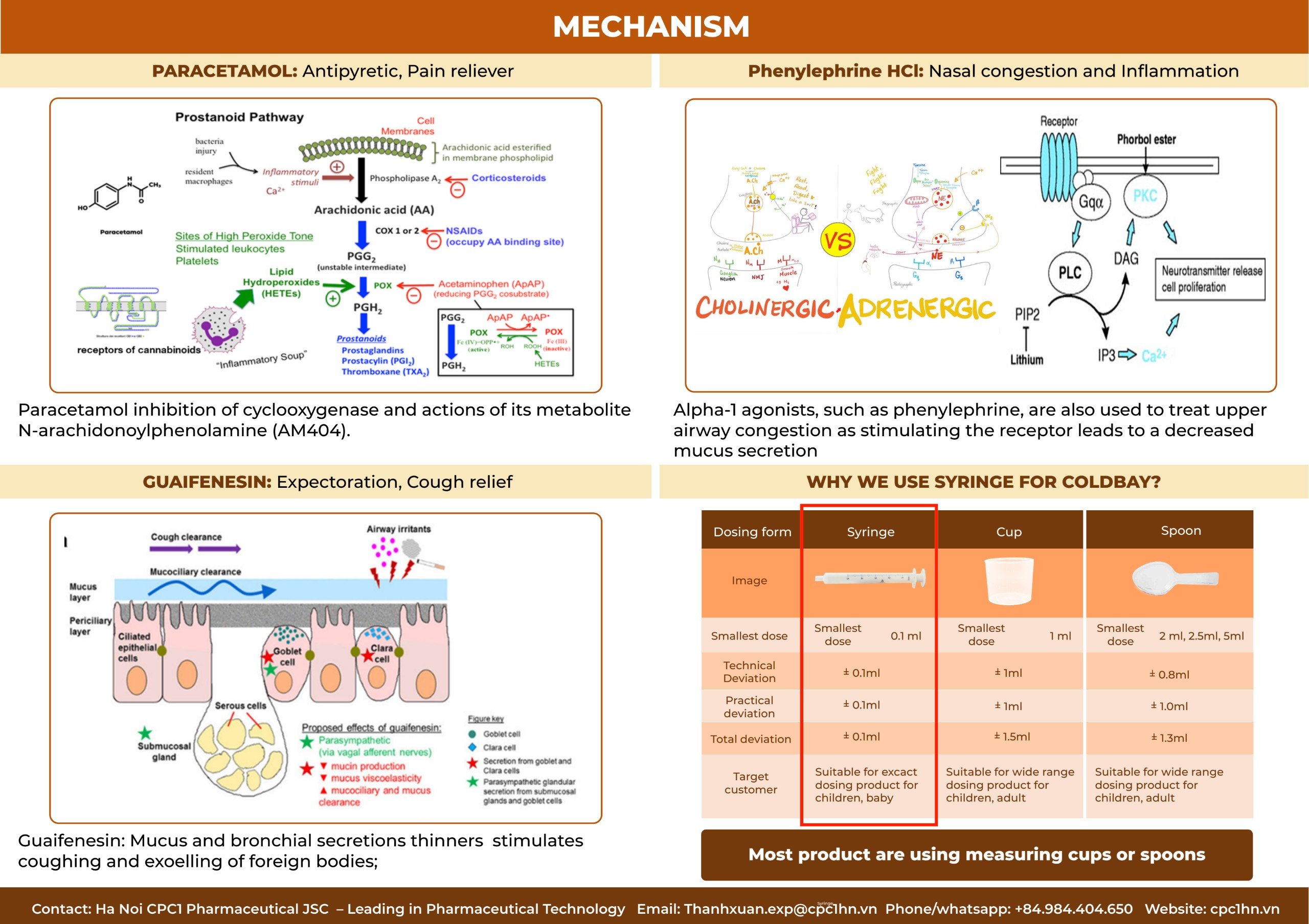 38. COLDBAY (Paracetamol + Guaifenesine + Phenylephrine) 3