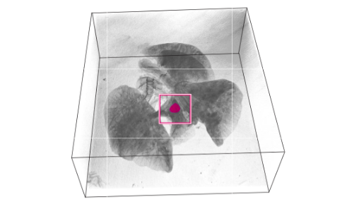 3D Scans as a Service