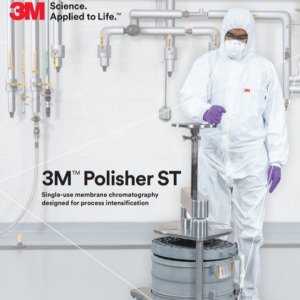 3M™ Polisher ST