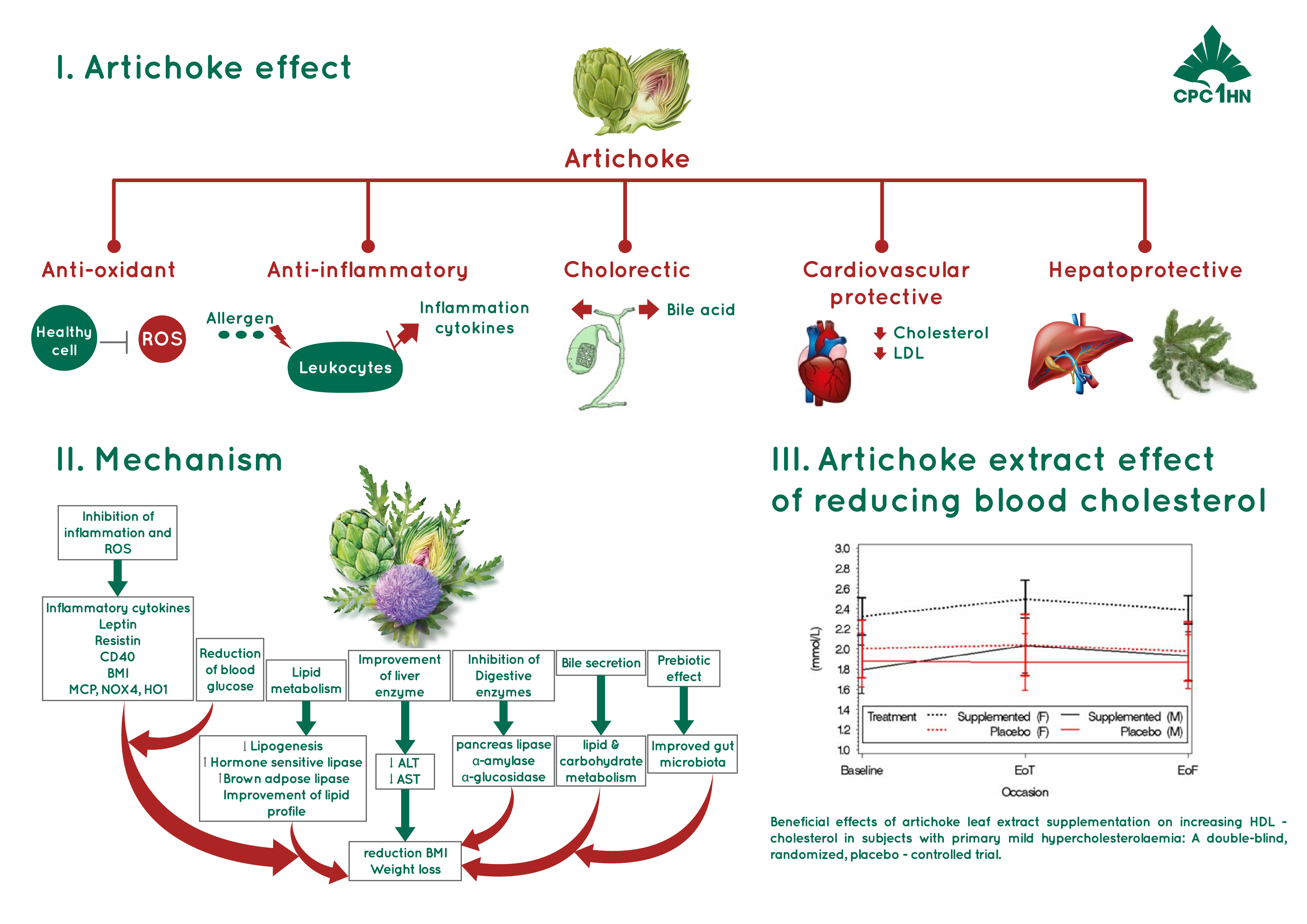 42. Actiso Viet (Artichoke extract) 3