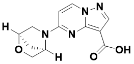 5-[(1R,4R)-2-oxa-5-azabicyclo[2.2.1]heptan-5-yl]pyrazolo[1,5-a]pyrimidine-3-carboxylic acid