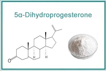 5α-Dihydroprogesterone
