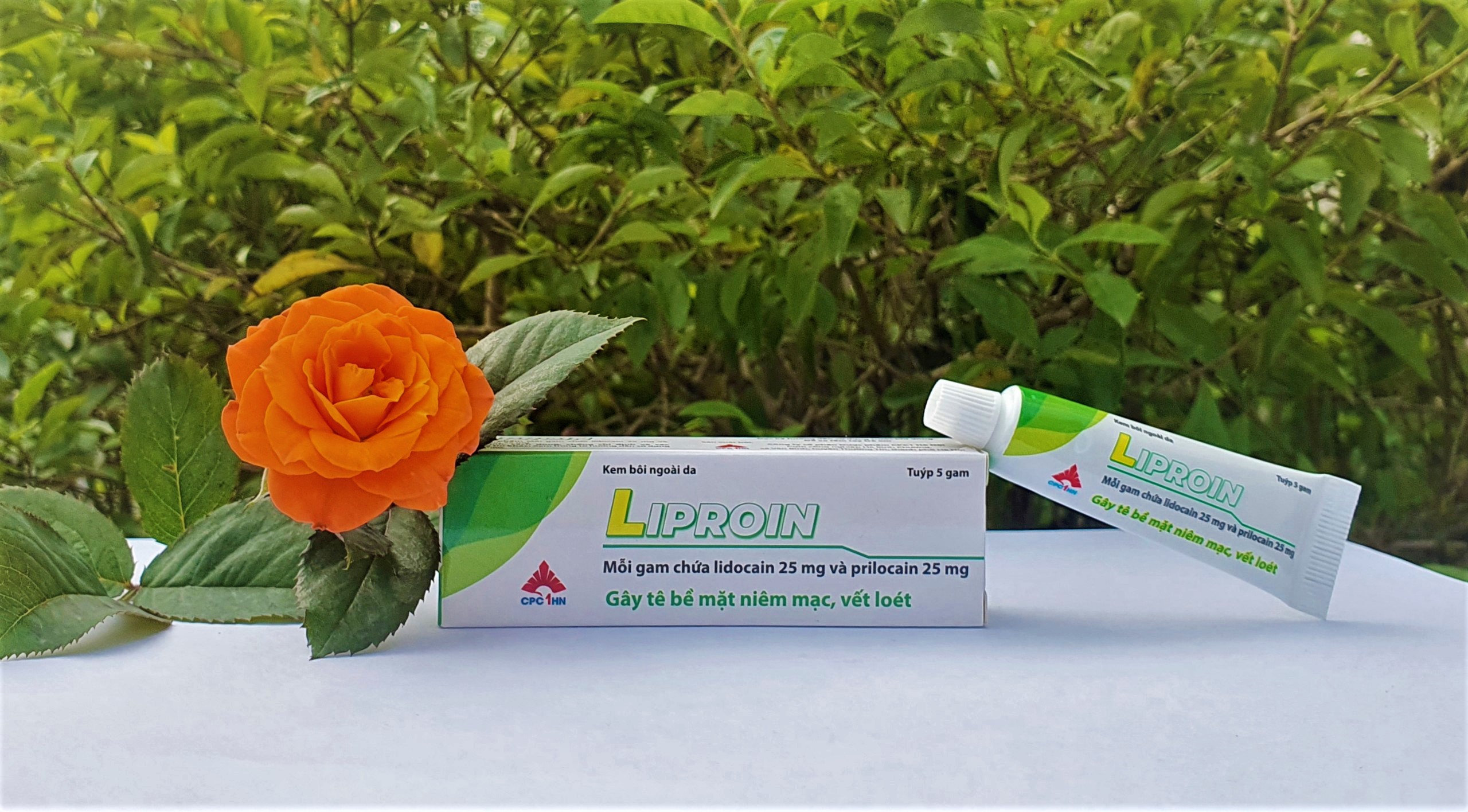 54. Liproin (Lidocaine, Prilocaine)
