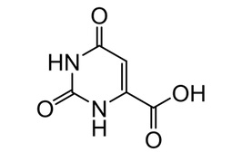 [65-86-1] Orotic Acid