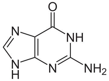 [73-40-5] Guanine