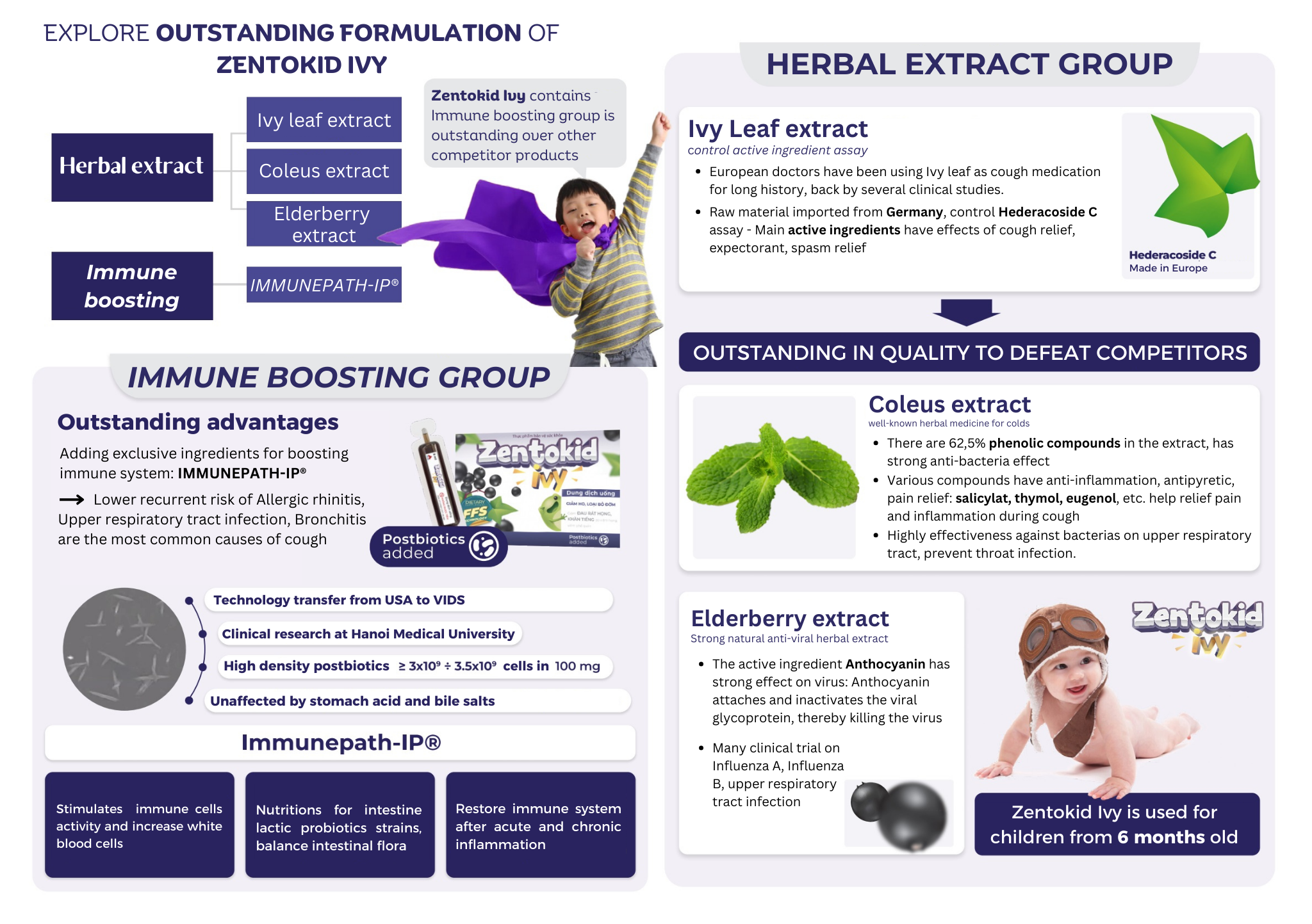 96. Zentokid Ivy (Elderberry Extract, Hedera Helix Extract, Lemon Basil extract,... - Oral solution) 2